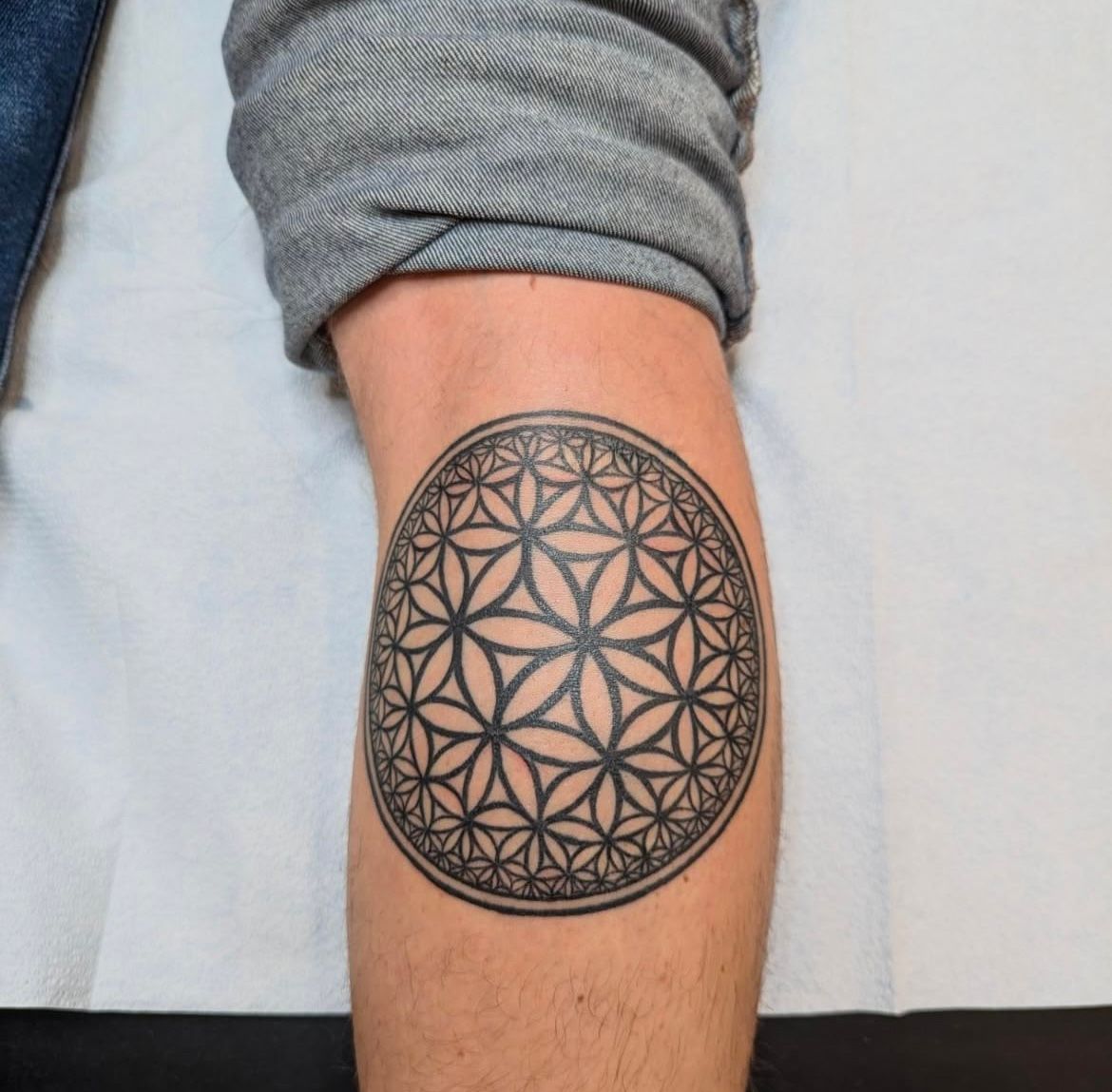 Tree of Life Tattoo by Amber Strange at Silver Ghost Tattoo in Edmonton Alberta Canada