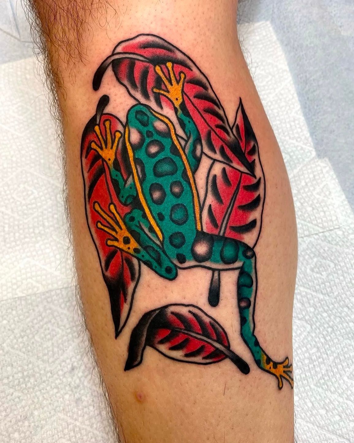 Frog Tattoo by JD Pezderic at Silver Ghost Tattoo in Edmonton Alberta Canada