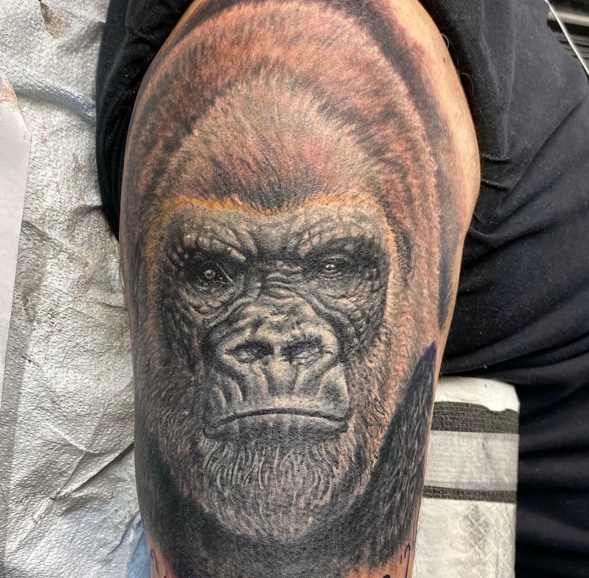 Gorilla Tattoo by Steve Hayes at Black Gold Tattoo Co in Edmonton Alberta Canada