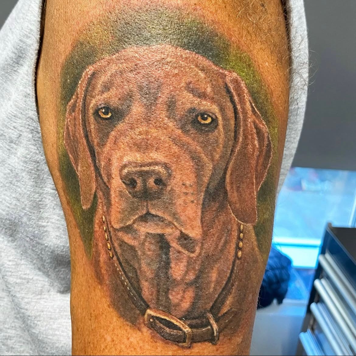 Dog Portrait Tattoo by Steve Hayes at Black Gold Tattoo Co in Edmonton Alberta Canada