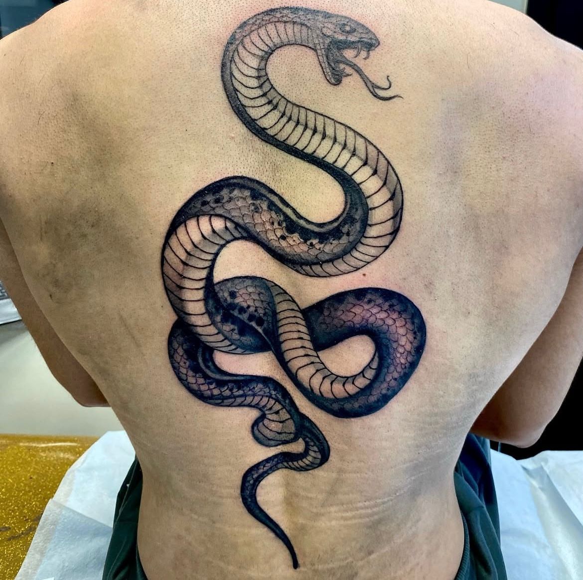 Snake Tattoo by Steve Hayes at Black Gold Tattoo Co in Edmonton Alberta Canada
