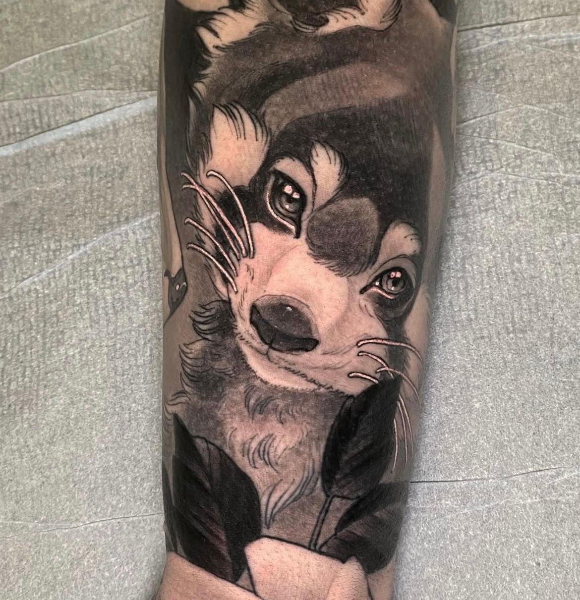 Red Panda Tattoo by Sasha Day at Crimson Empire Tattoo in Edmonton Alberta Canada