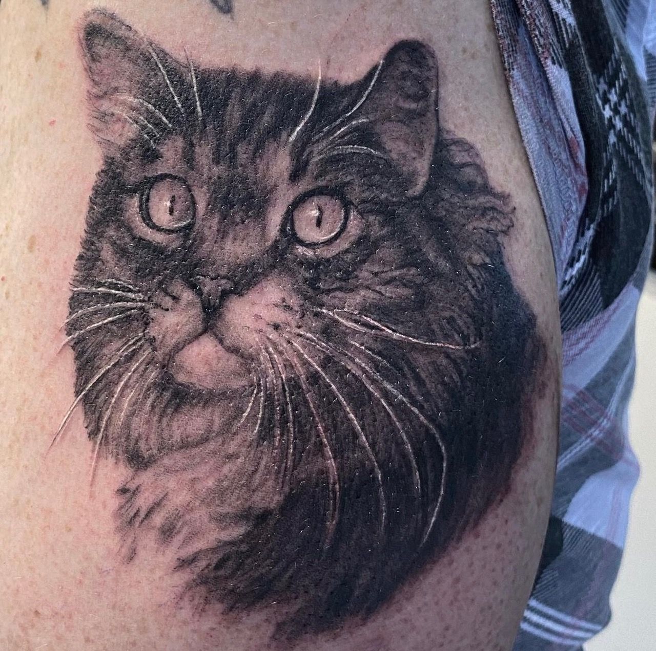 Cat Portrait Tattoo by Steve Hayes at Black Gold Tattoo Co in Edmonton Alberta Canada