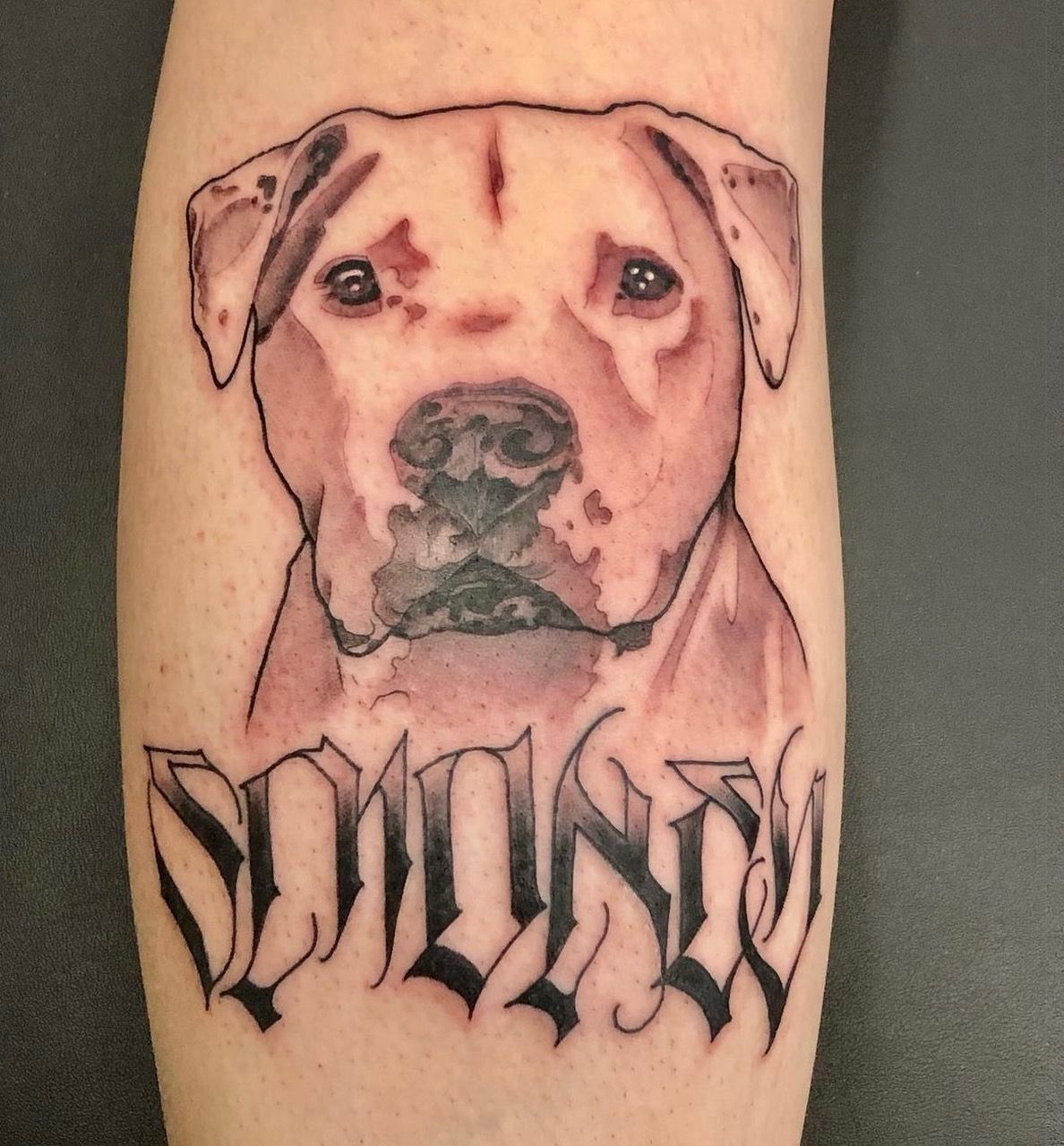 Dog Portrait Tattoo by Trevor Pelletier at Black Gold Tattoo Co in Edmonton Alberta Canada