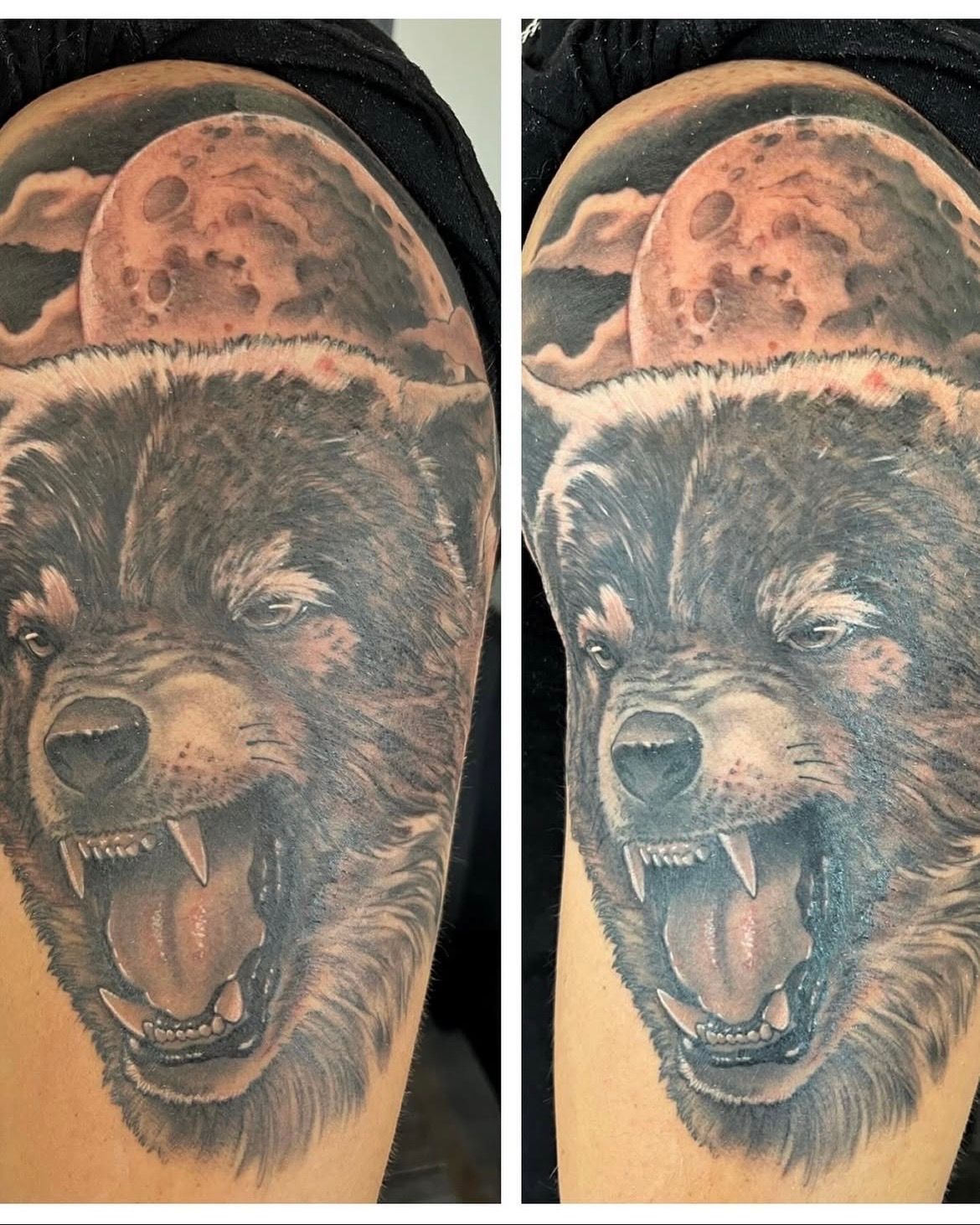 Wolf Tattoo by Chad Lavers at Crimson Empire Tattoo in Edmonton Alberta Canada