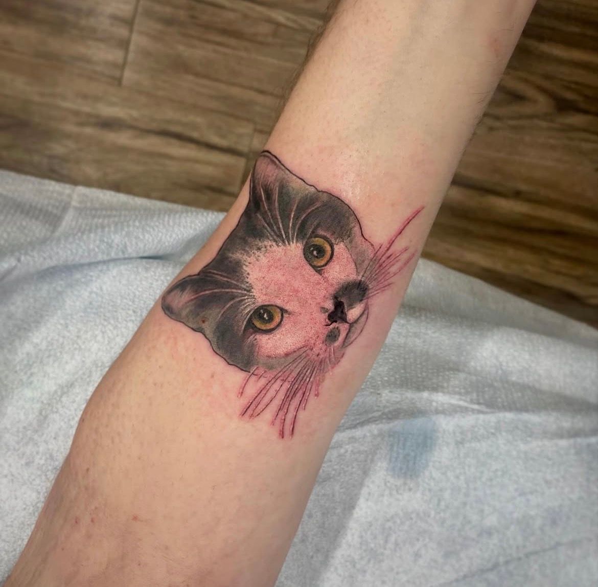 Cat Portrait Tattoo by Jess Alther at Black Gold Tattoo Co in Edmonton Alberta Canada