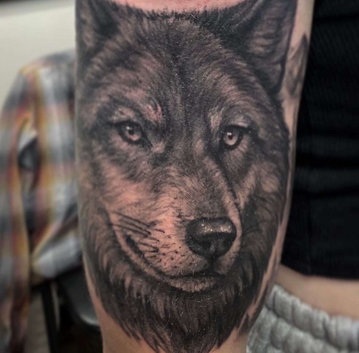 Wolf Tattoo by Steve Hayes at Black Gold Tattoo Co in Edmonton Alberta Canada