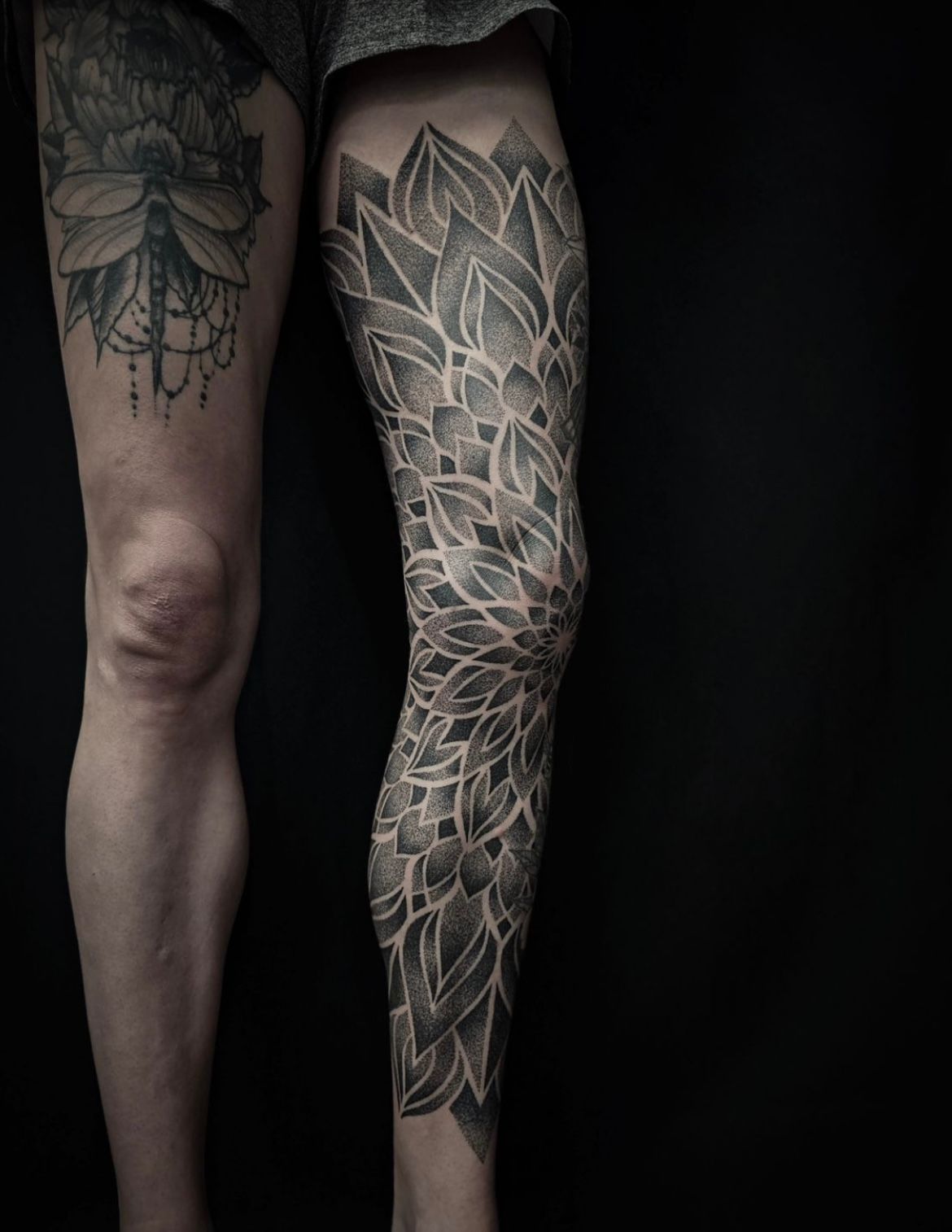 Dotwork Mandala Leg Sleeve by Alex Arnautov at Black Gold Tattoo Co in Edmonton Alberta Canada