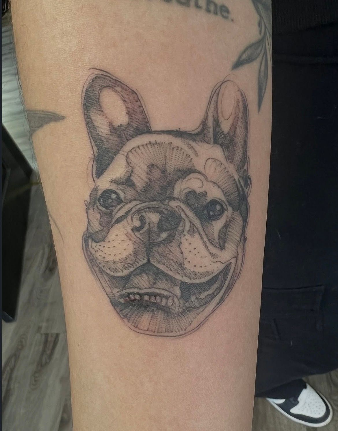 Dog Portrait Tattoo by Adrienne Alexander at Silver Ghost Tattoo in Edmonton Alberta Canada