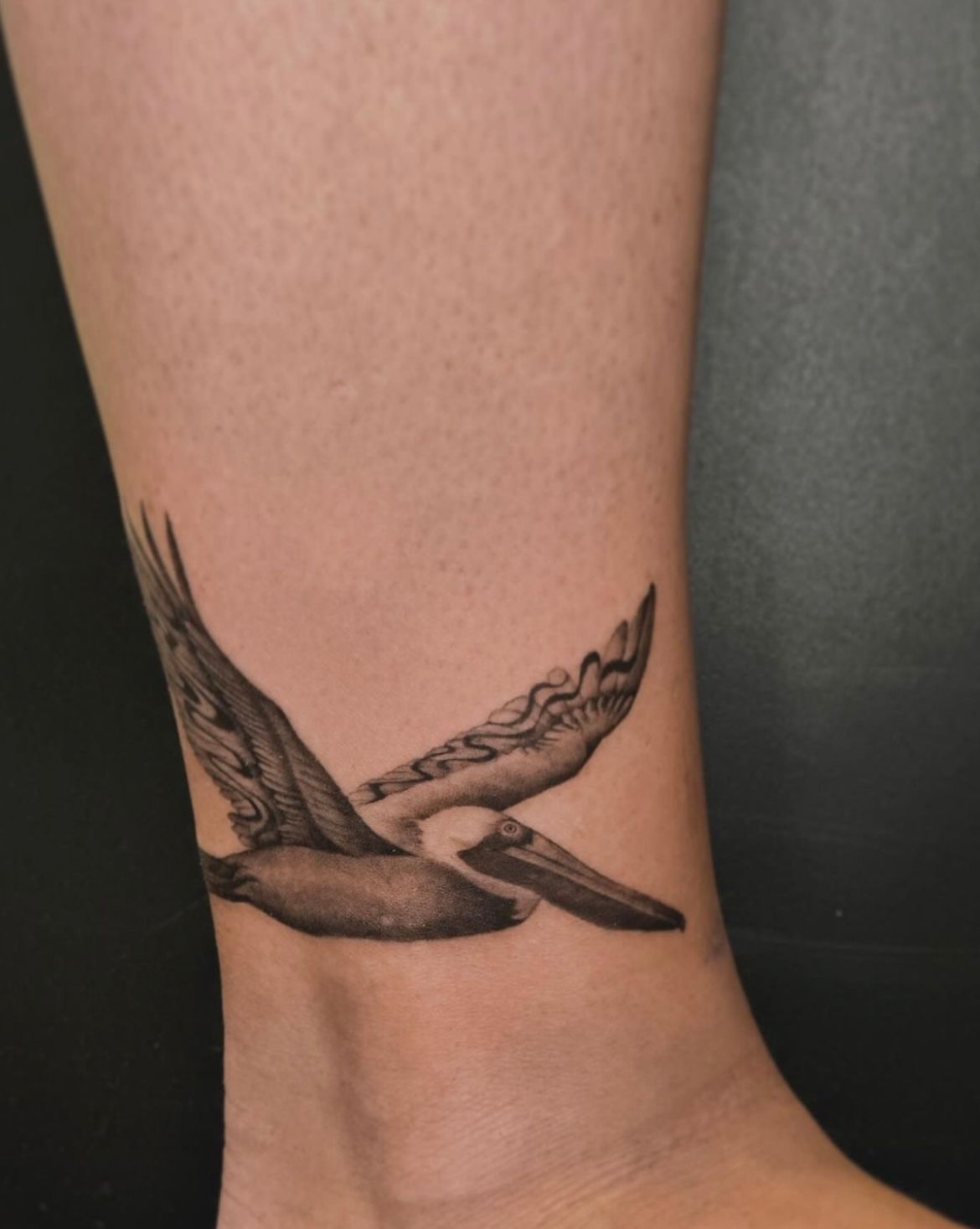 Pelican Tattoo by Anastasiya at Silver Ghost Tattoo in Edmonton Alberta Canada