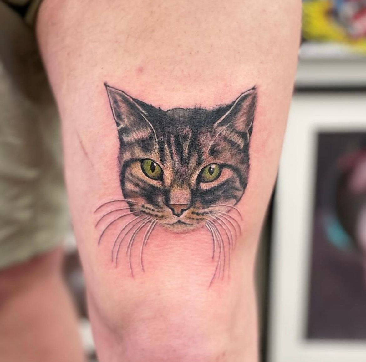 Cat Portrait Tattoo by Jess Alther at Black Gold Tattoo Co in Edmonton Alberta Canada