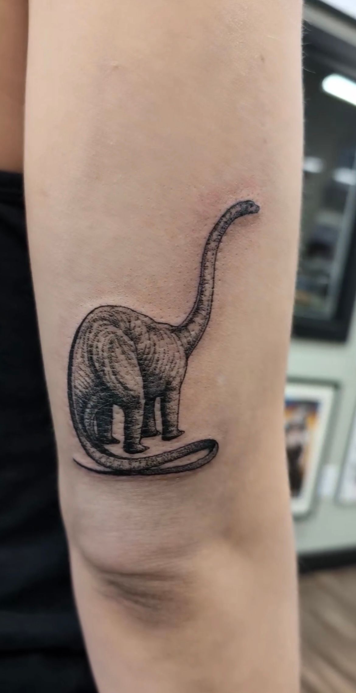 Brontosaurus Tattoo by Kevin Sherritt at Black Gold Tattoo Co in Edmonton Alberta Canada