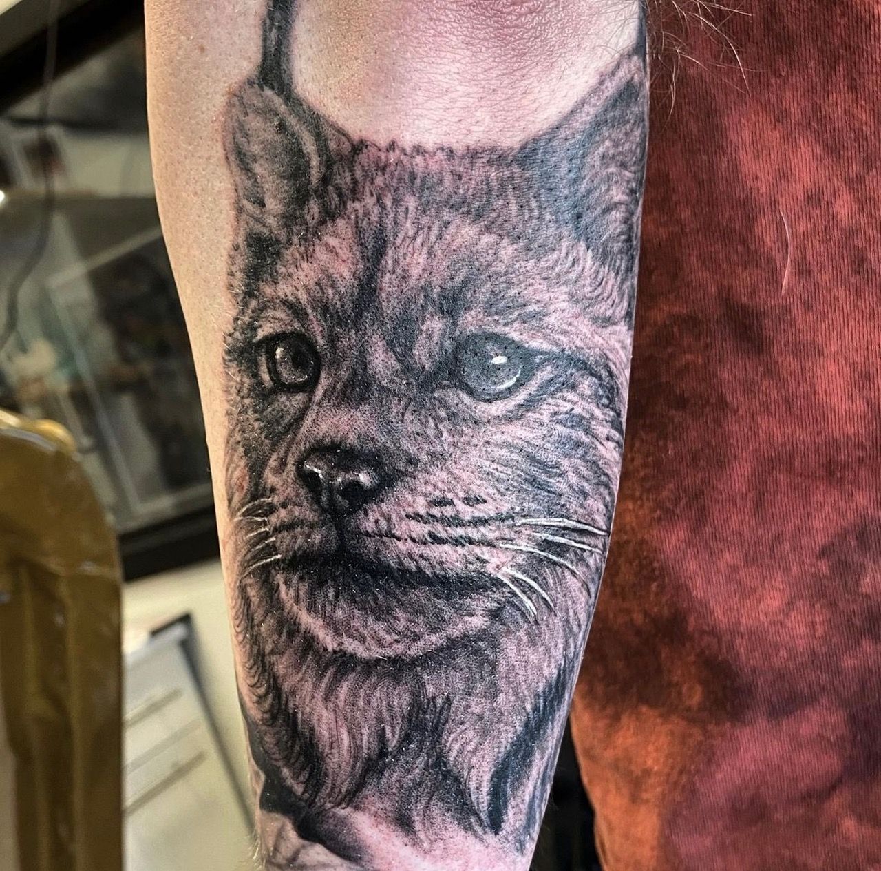 Lynx Tattoo by Steve Hayes at Black Gold Tattoo Co in Edmonton Alberta Canada