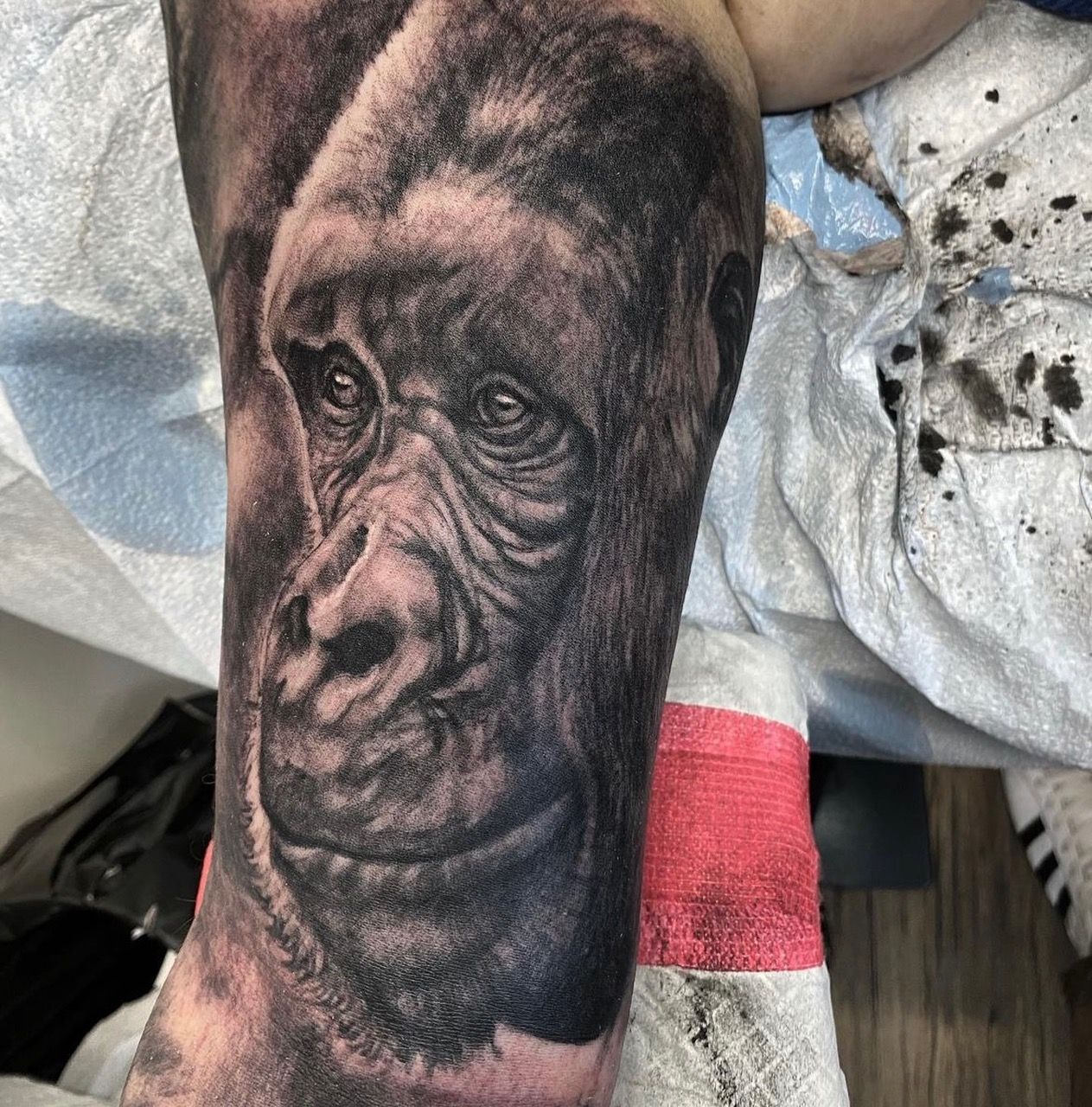 Gorilla Tattoo by Steve Hayes at Black Gold Tattoo Co in Edmonton Alberta Canada