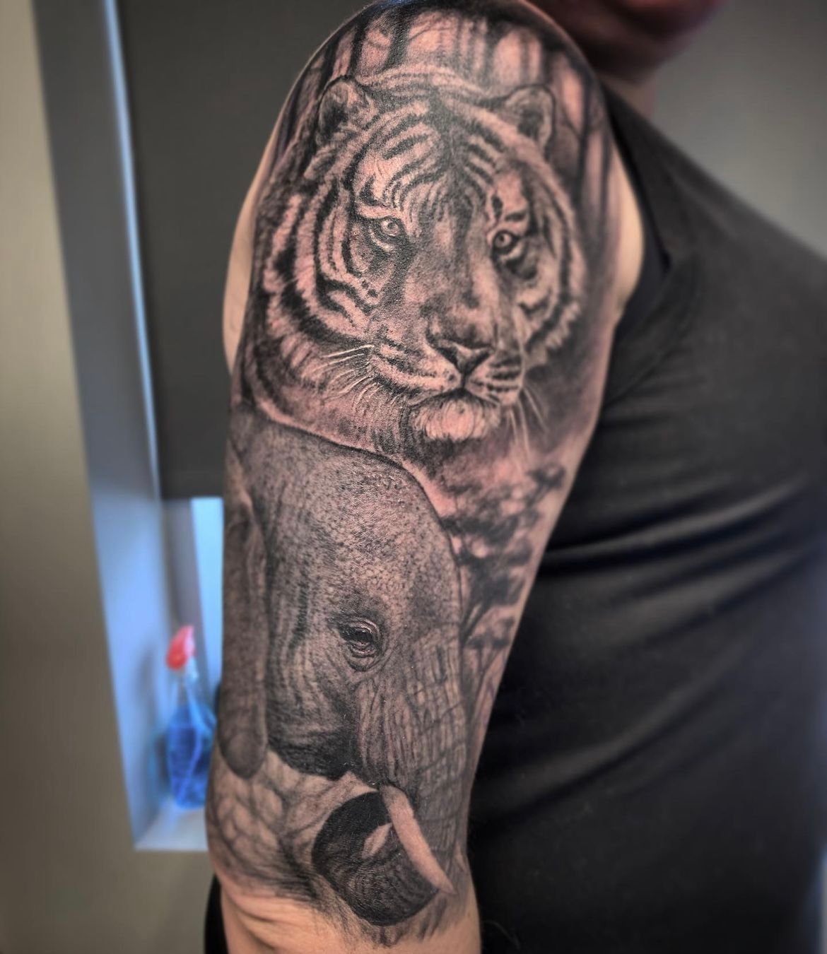 Tiger and Elephant Tattoo by Steve Hayes at Black Gold Tattoo Co in Edmonton Alberta Canada