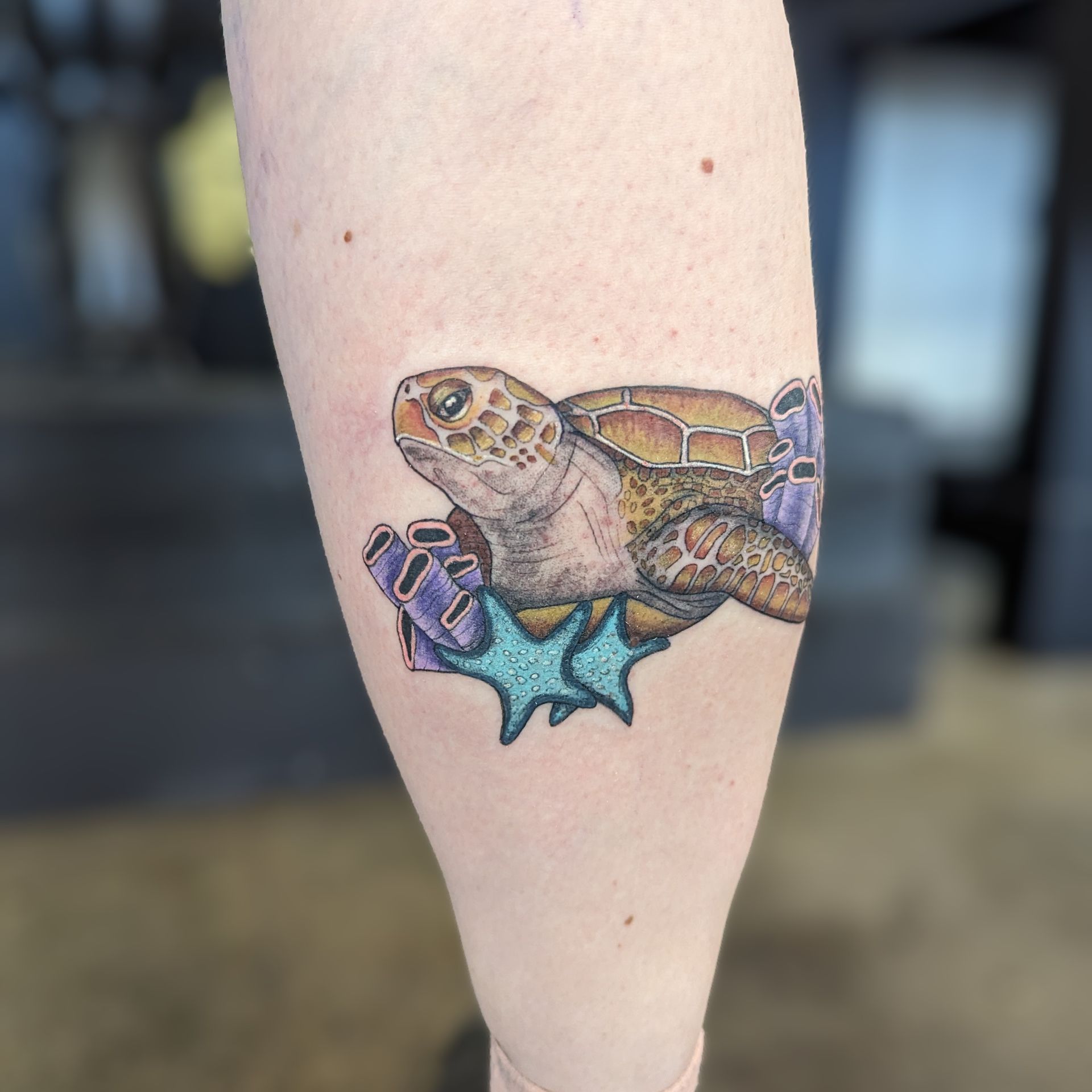 Turtle Tattoo by Samantha Hnatiw at Crimson Empire Tattoo in Edmonton Alberta Canada
