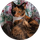 Calico cat curled up on a round white fluffy bed against a plain background.