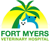 veterinary clinic fort myers        <h3 class=