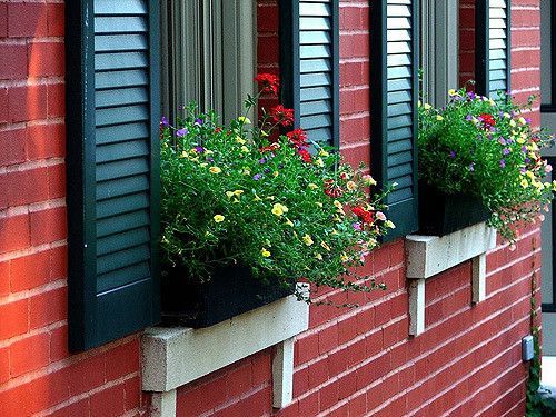 A brick building with three windows with flowers in them