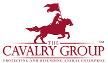 The Cavalry Group