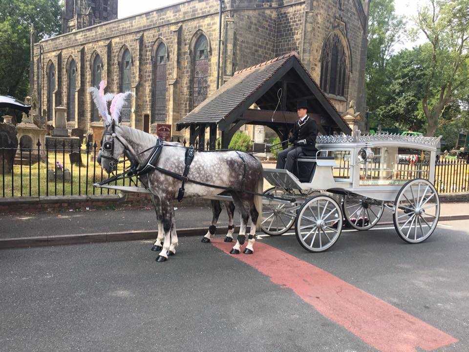 Horse Drawn Hearse