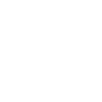 Desenho na cor branca de um escudo com um simbolo de check ao centro