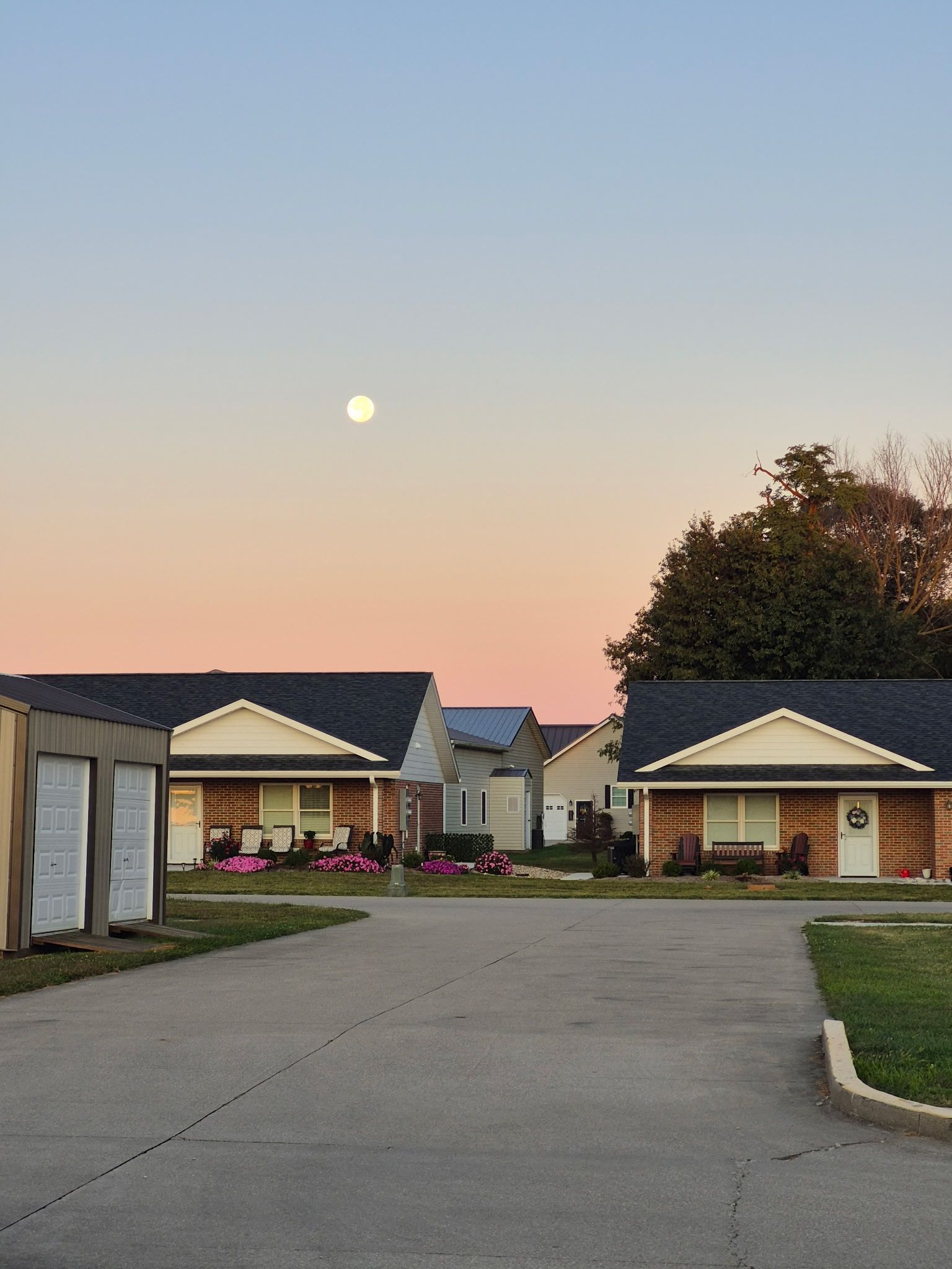 Row of houses at dusk with the moon in a pink and blue sky.