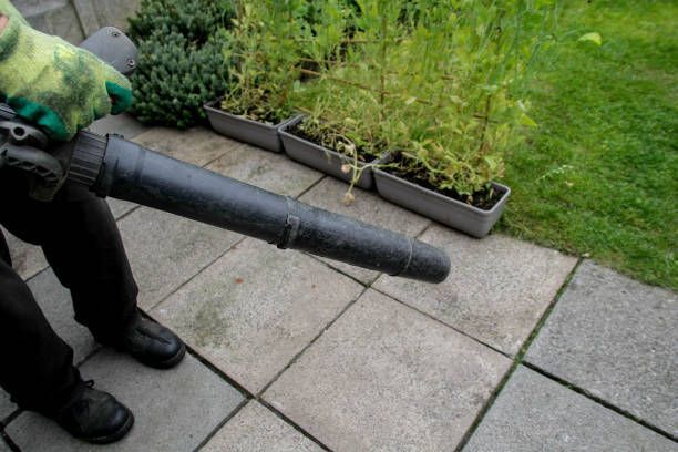 Person using a leaf blower to clean a gray patio. Green plants are in the background.