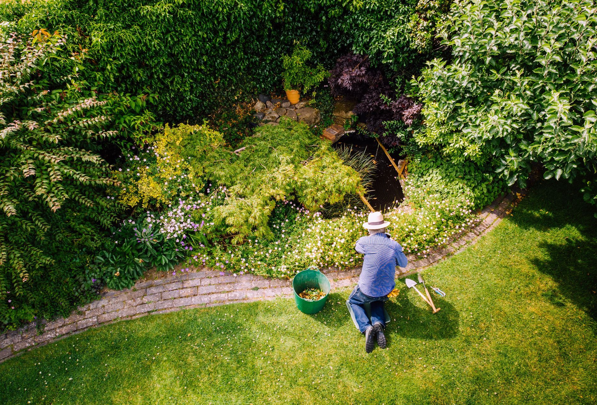 Overhead view of a man gardening, trimming a bush, green lawn, and a colorful garden.