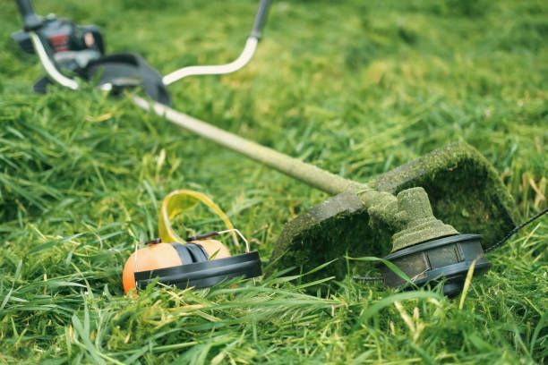 String trimmer and orange ear protection resting on green grass.