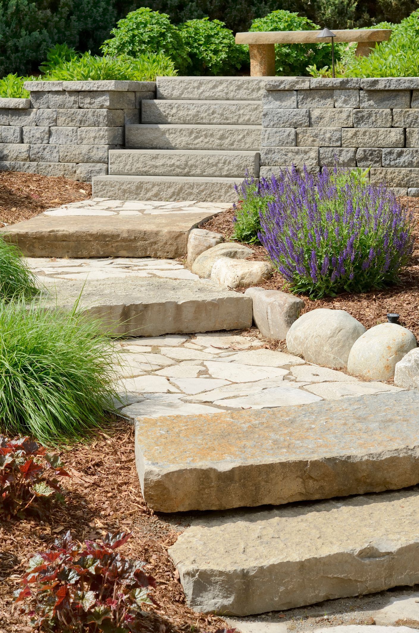 Stone steps ascend a tiered garden, flanked by green plants, purple flowers, and brown mulch.