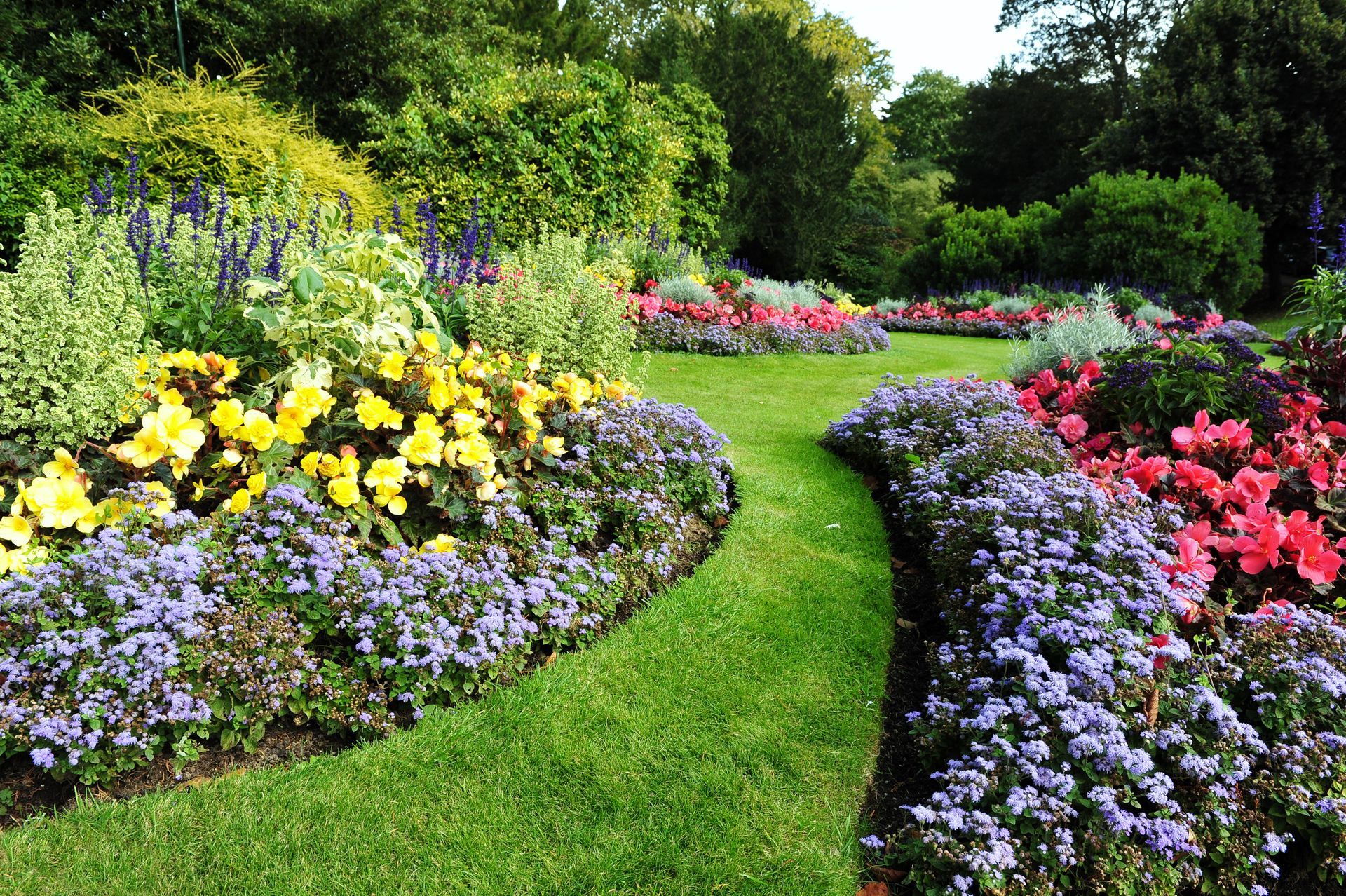 Lush garden with a winding grass path, bordered by colorful flowers in bloom.