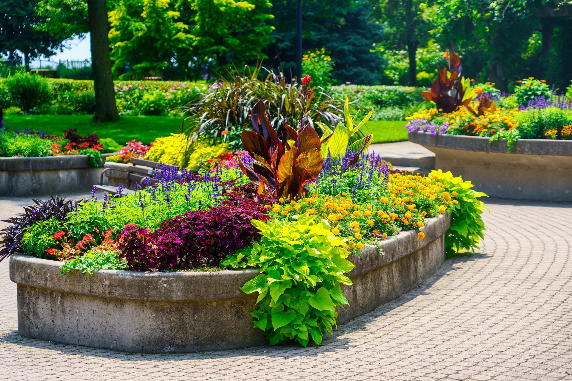 Flower beds brimming with colorful blooms in a park setting.