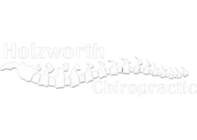 A white logo for holzworth chiropractic with a picture of a spine.