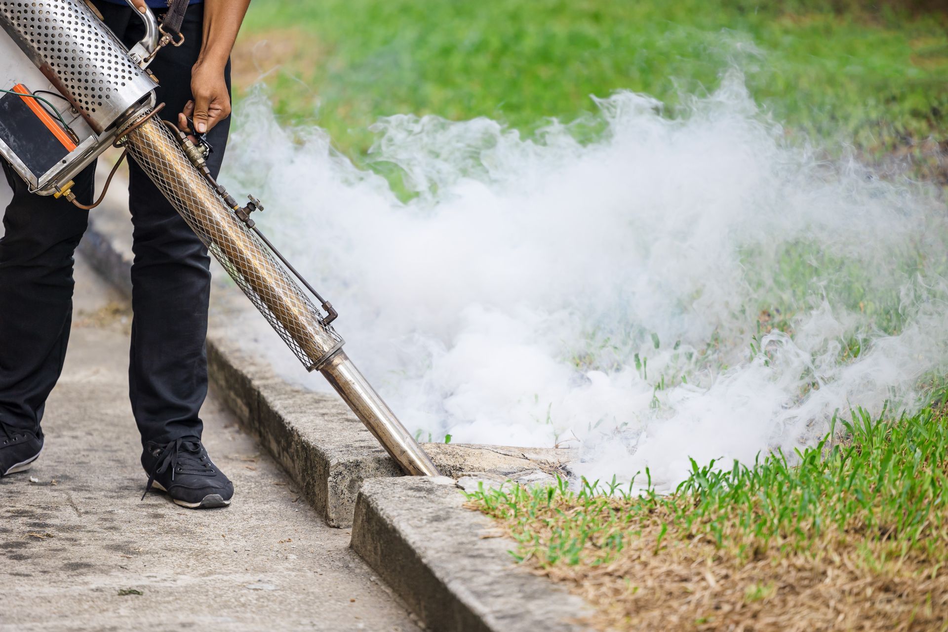 Person using a fogging machine to spray white mist along a curb beside grass.