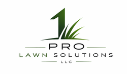 1 Pro Lawn Solutions LLC 1 Pro Lawn Solutions LLC