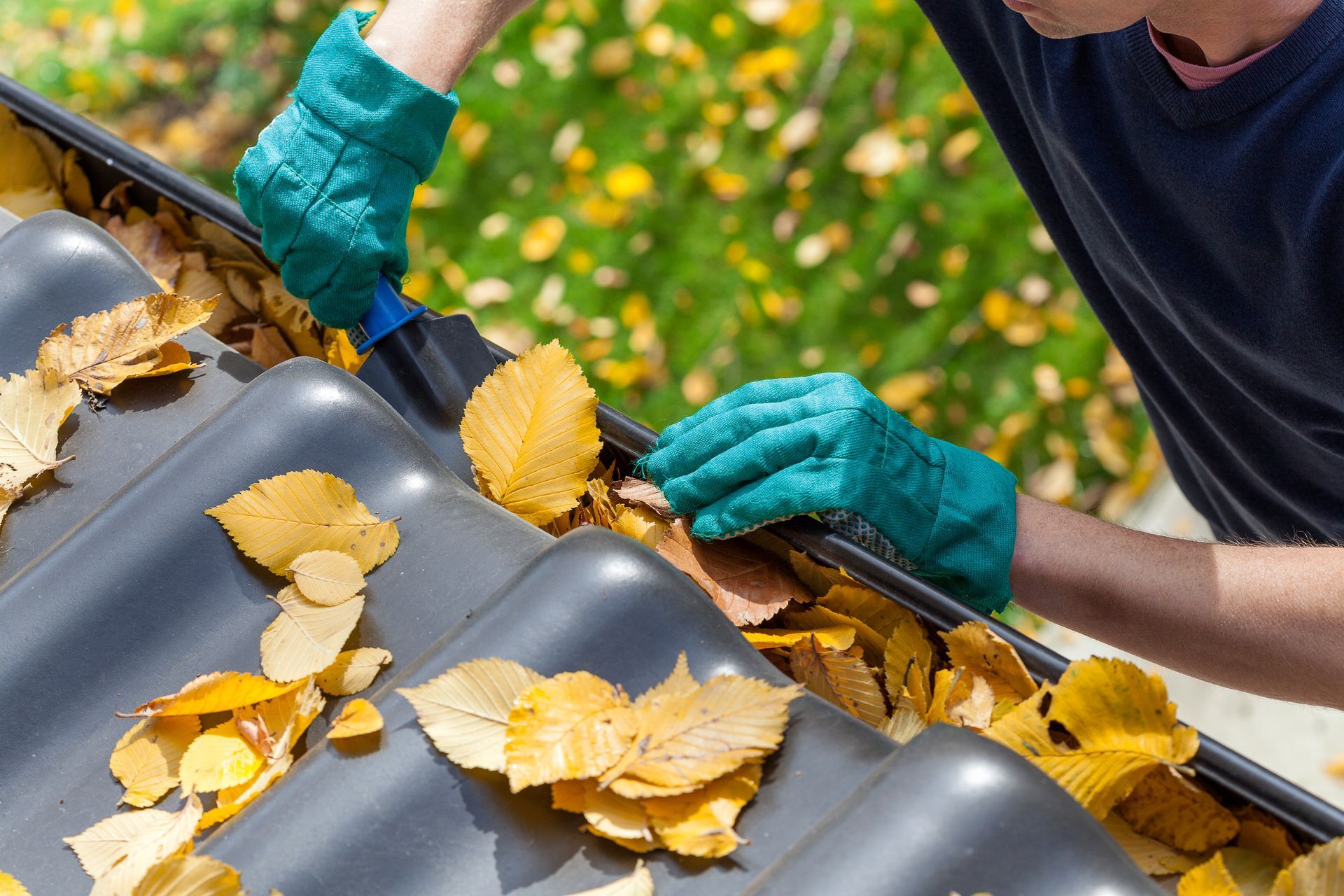 Gloved hands clearing yellow leaves from a gray roof gutter