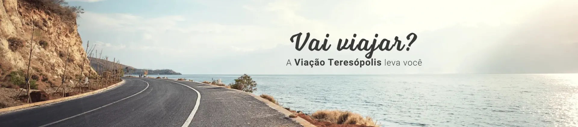 Viacao Teresopolis Cavalhada Ltda
