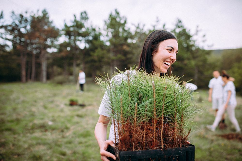Woman Carrying Small Trees — Southbury, CT — Bob's Tree Service