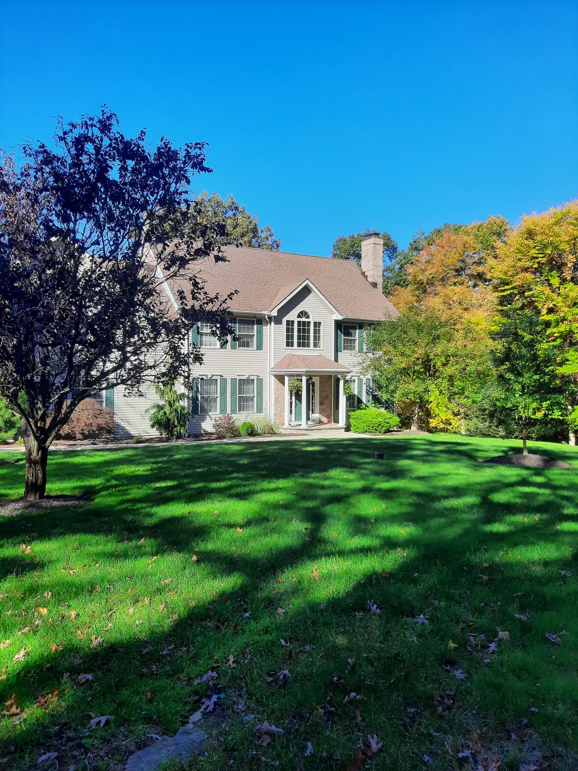 Pruning Small Branches — Southbury, CT — Bob's Tree Service