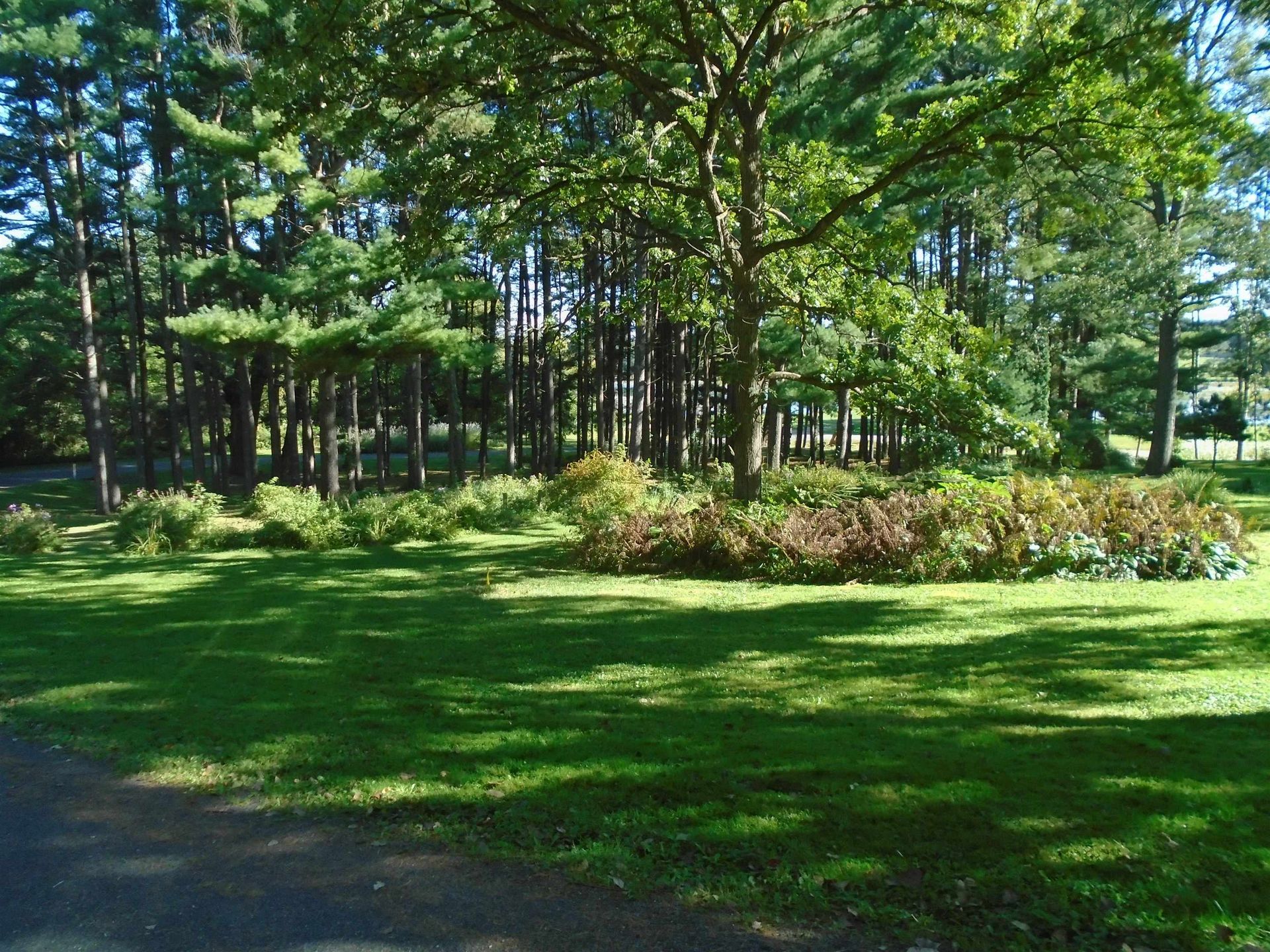 Scara Brea Lane, Mazomanie