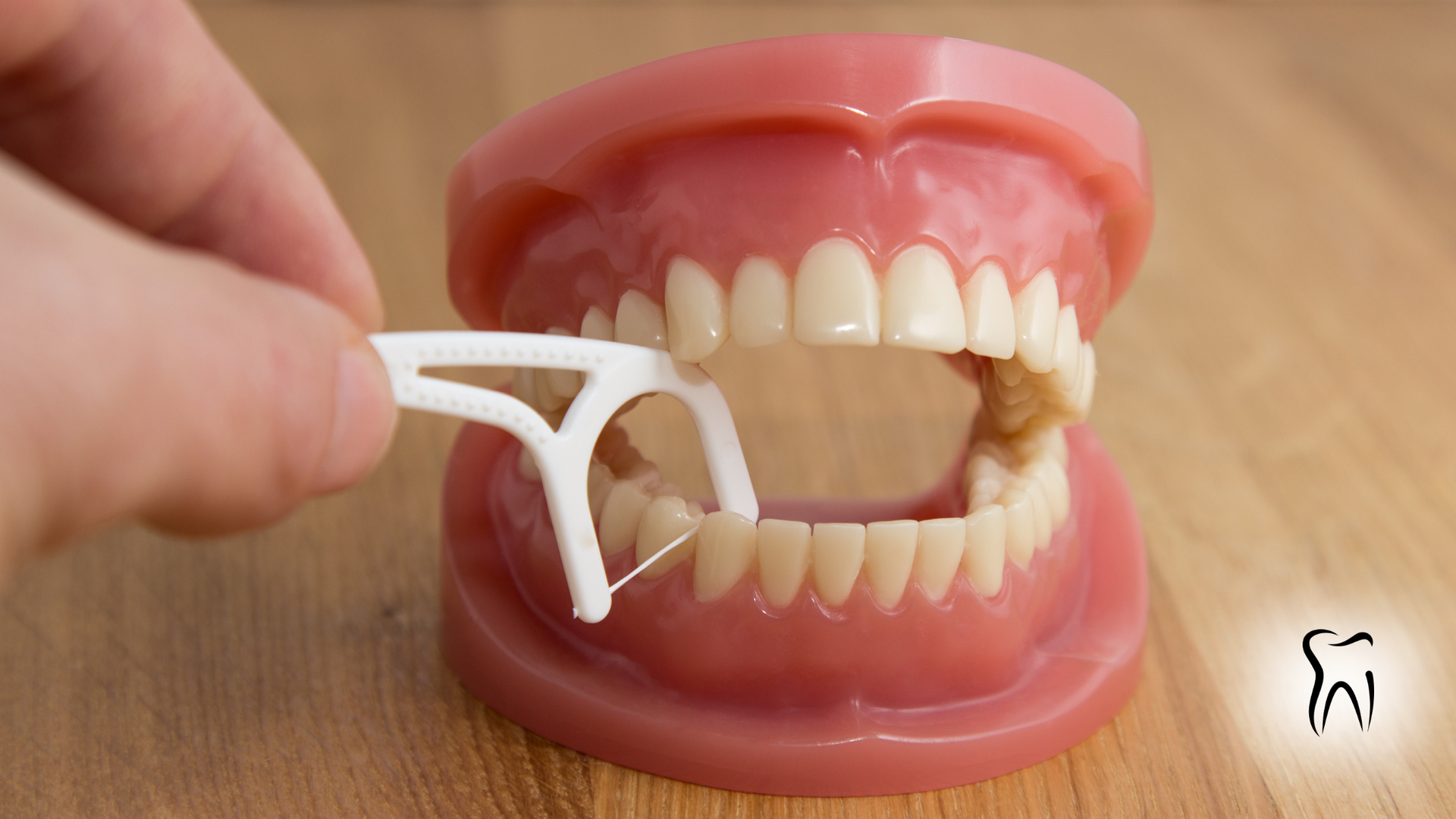 Hand flossing a model set of teeth, highlighting oral hygiene.