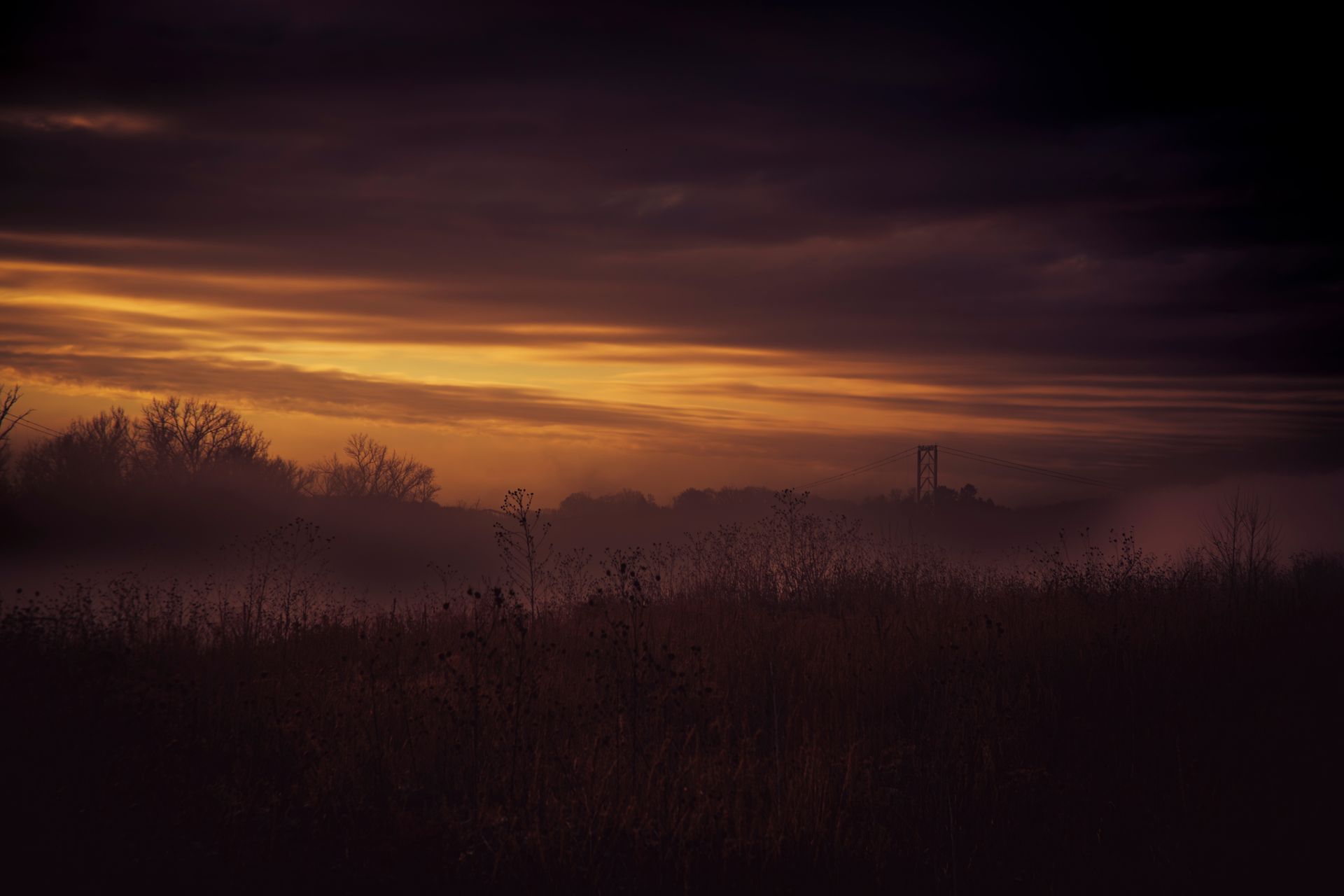 Gloomy landscape at dusk with a hazy horizon and silhouette of trees, dominated by dark purple hues and golden light.