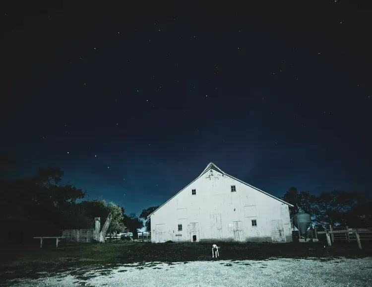 White barn under a dark blue night sky filled with stars. A person and dog stand near.