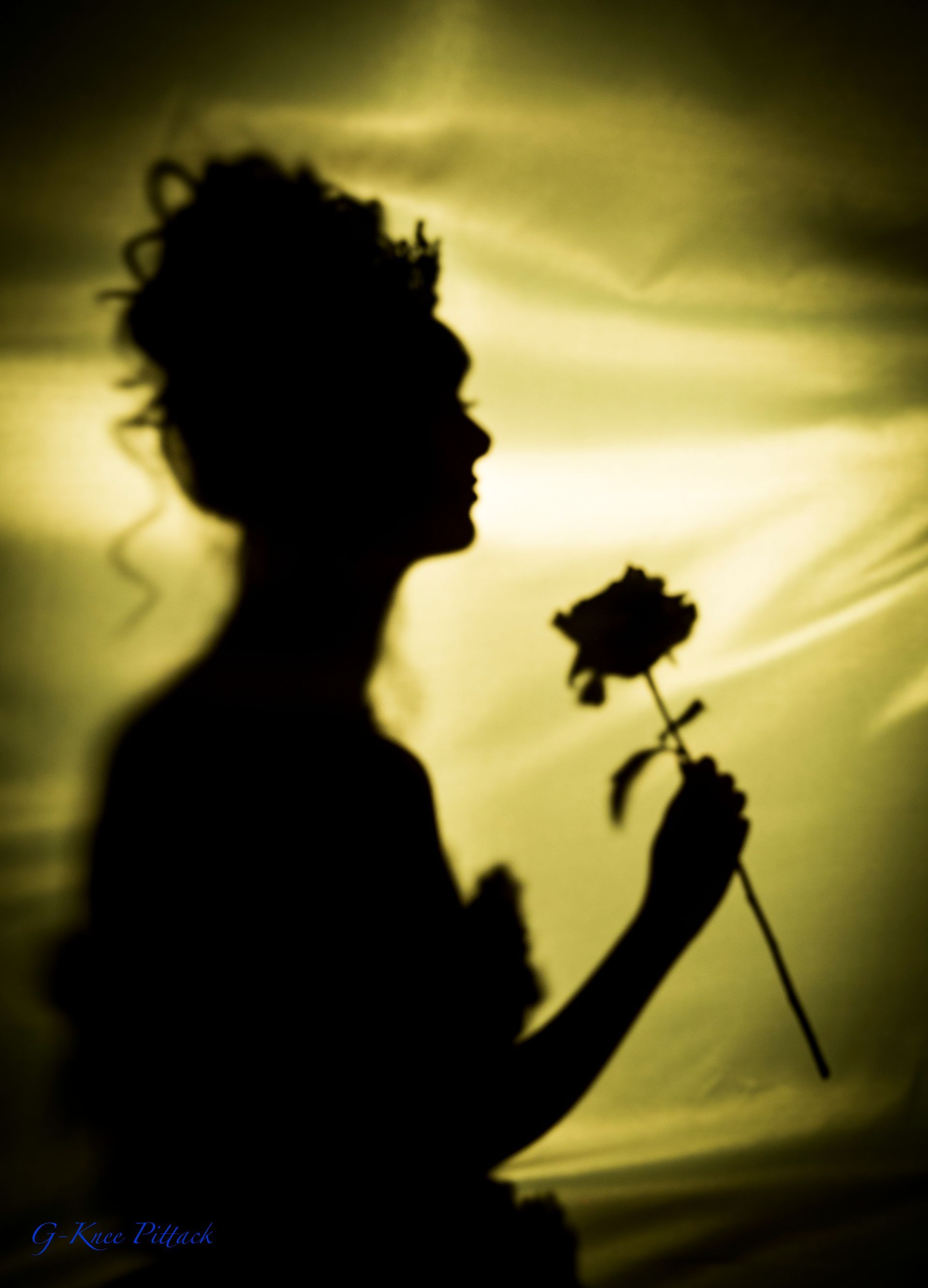 Silhouette of woman holding a rose, set against a golden, textured background.