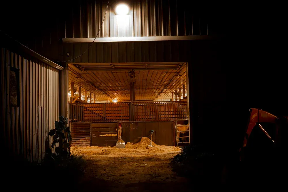 Darkened barn interior illuminated by overhead lights; stalls, hay, and farm equipment visible.