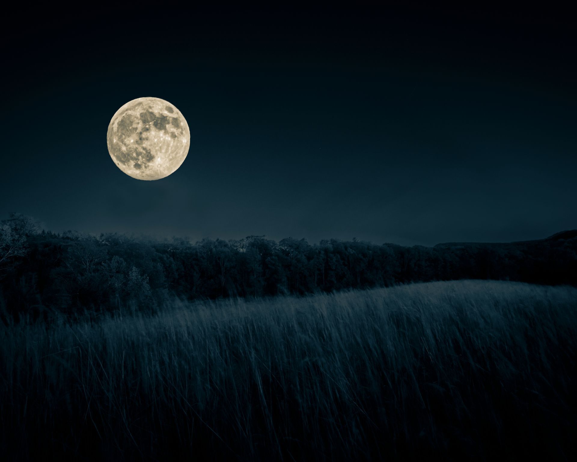 Full moon over dark field of tall grass and distant trees.