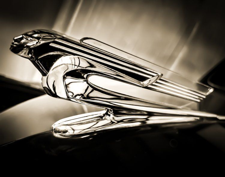 Chrome hood ornament of a bird, angled, on a car hood.