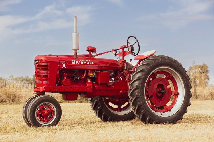 Red vintage Farmall tractor in field.