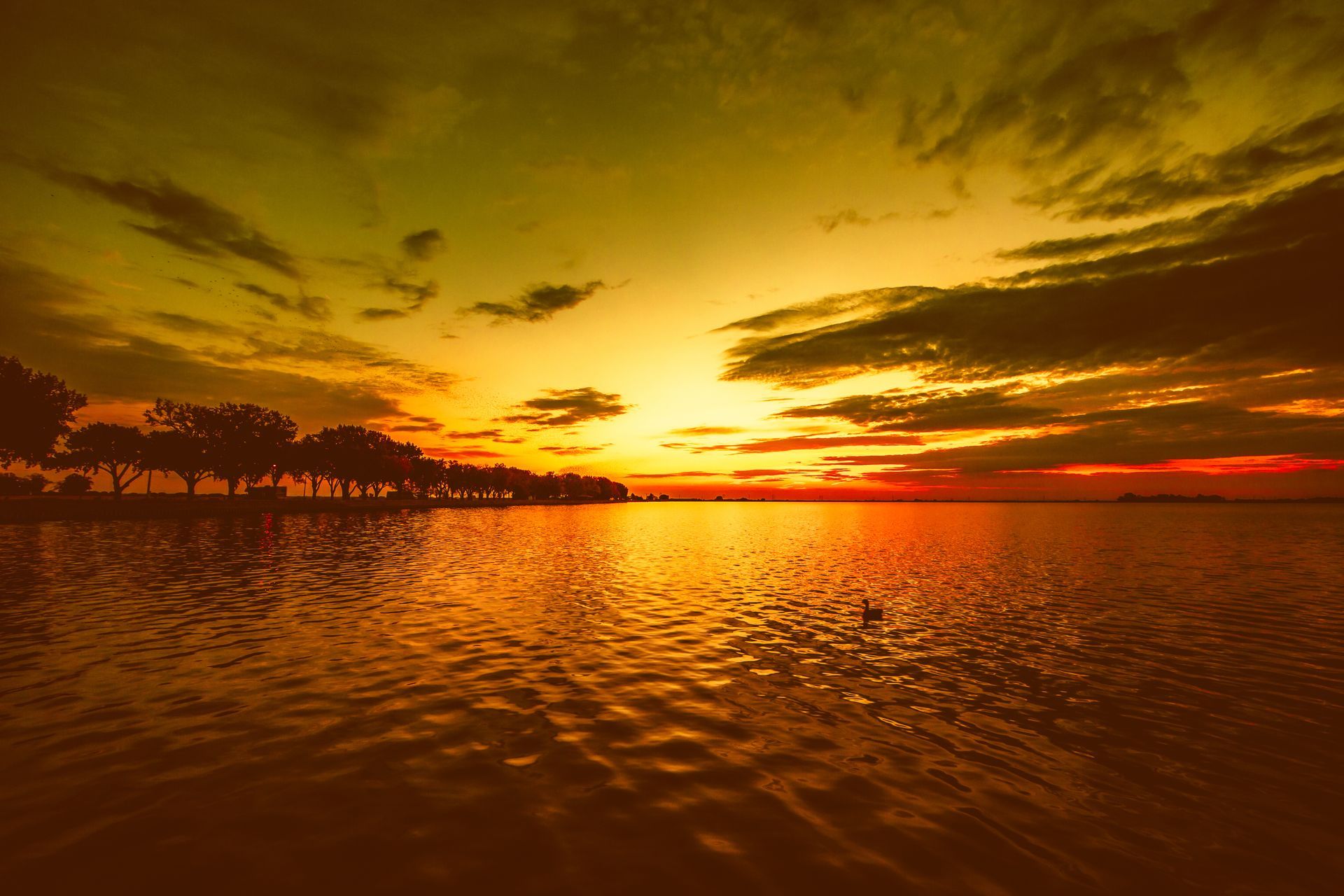 Golden sunset over a calm body of water with silhouetted trees on the horizon.